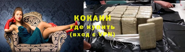 гидра Аркадак