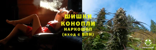 спайс Арсеньев