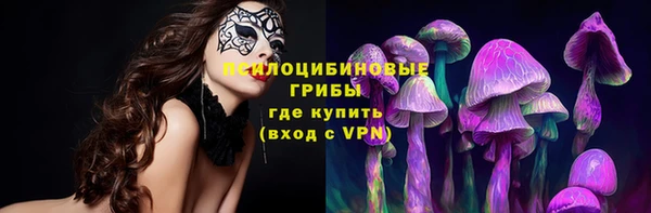 гидра Аркадак