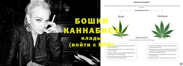 гидра Аркадак