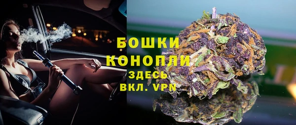 гидра Аркадак
