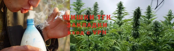 спайс Арсеньев