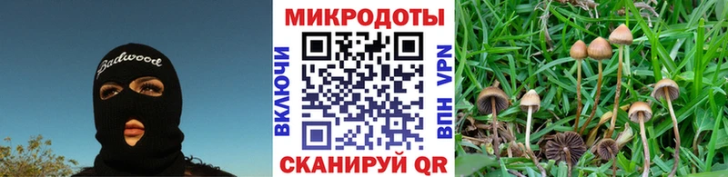 Галлюциногенные грибы Psilocybine cubensis  закладки  Северо-Курильск 